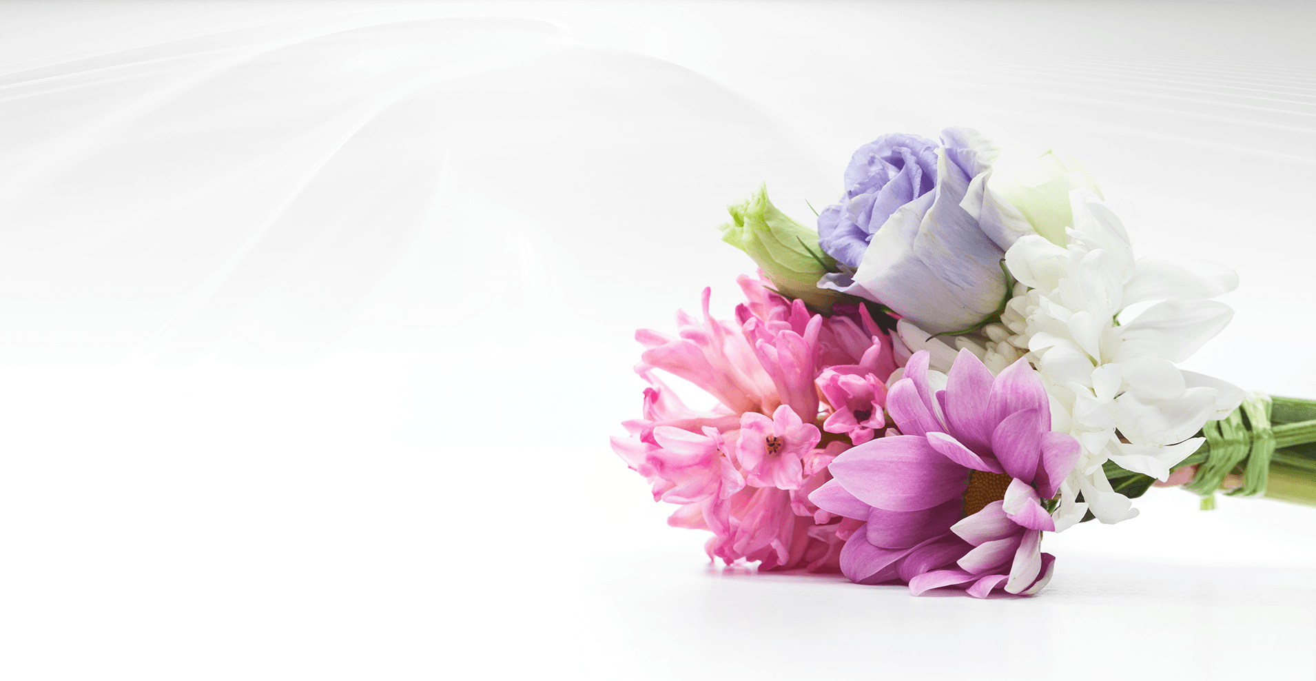 Premium balloon decoration services in Ahmedabad — EliteBallonDecor